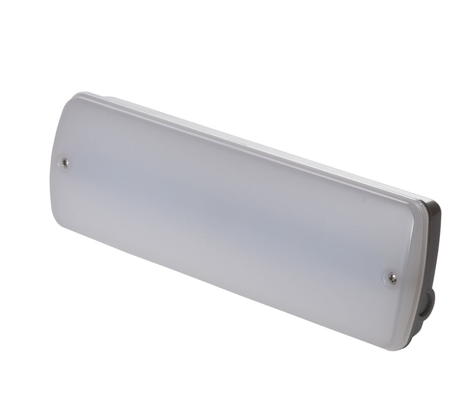 صيانة غير صيانة 3W مقاوم للماء الطوارئ الضوء الرطب الموقع في الهواء الطلق 3 سنوات الضمان IP65 L121N
